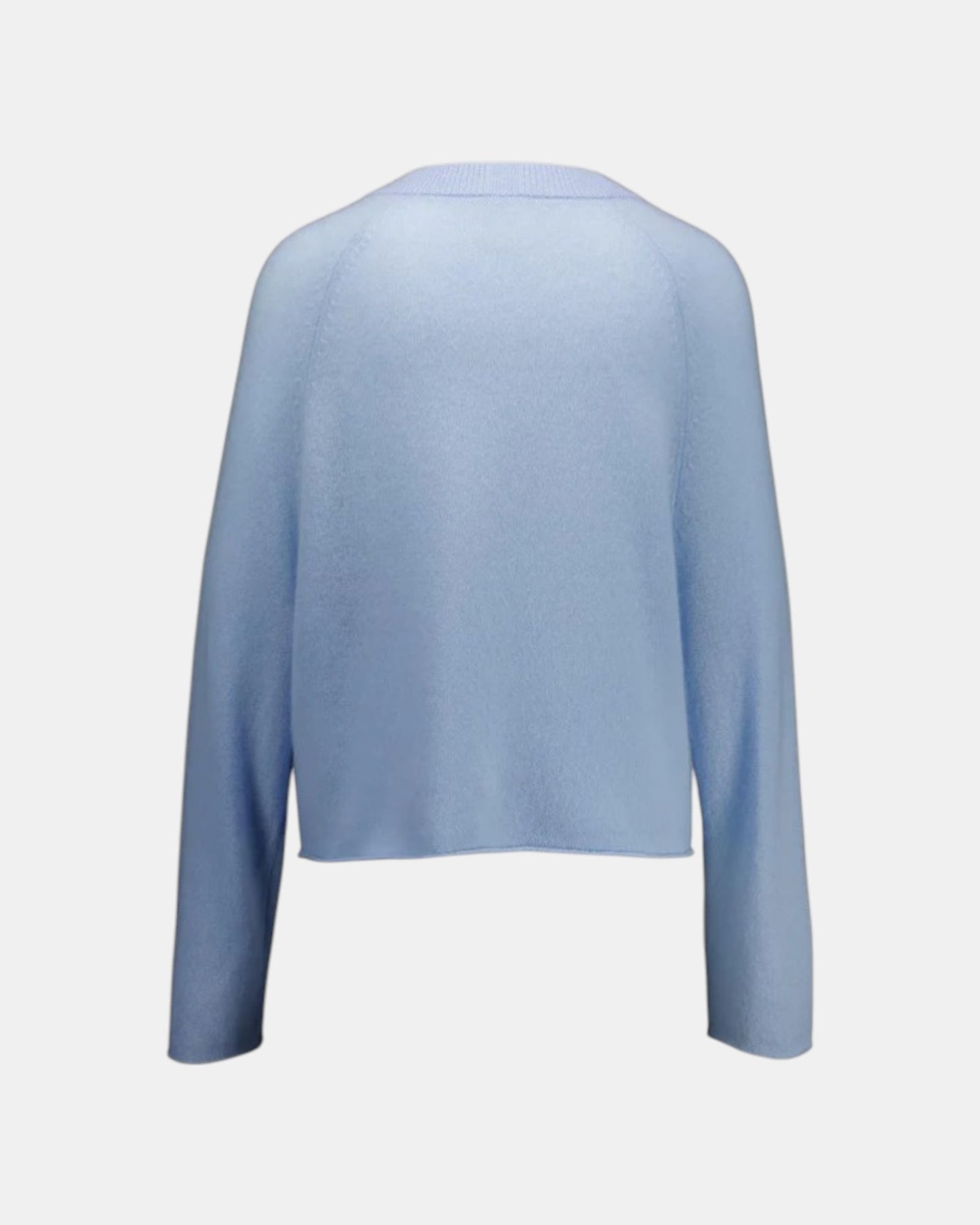 Allude Cashmerepullover mit V-Ausschnitt Hellblau als Freisteller von hinten