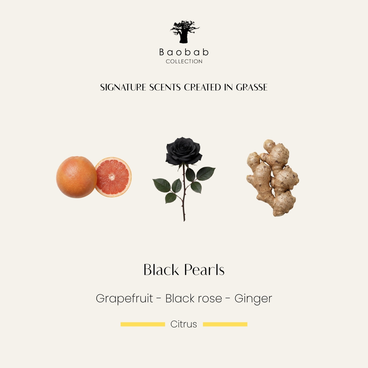 Baobab Collection Black Pearls Duftkarte mit Grapefruit, schwarzer Rose und Ginger