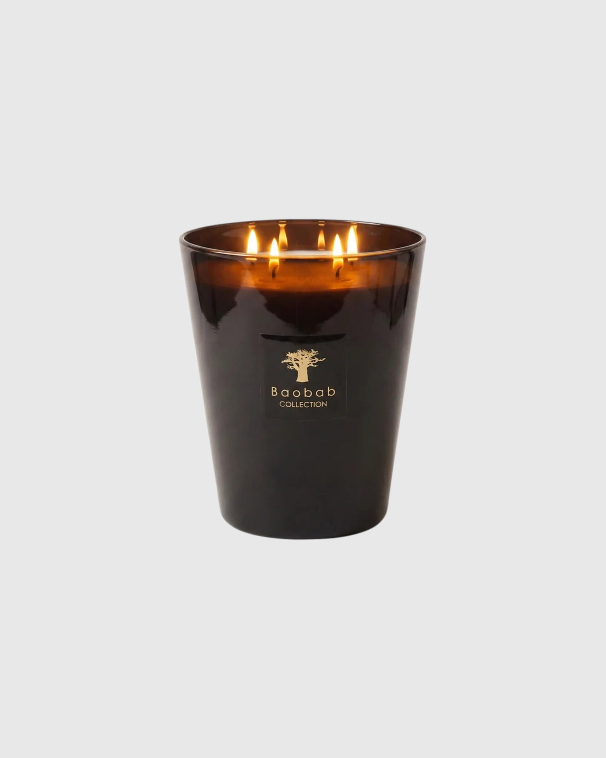 Baobab Collection Duftkerze Encre de Chine in Signature Max 16 aus tiefschwarzem Glas