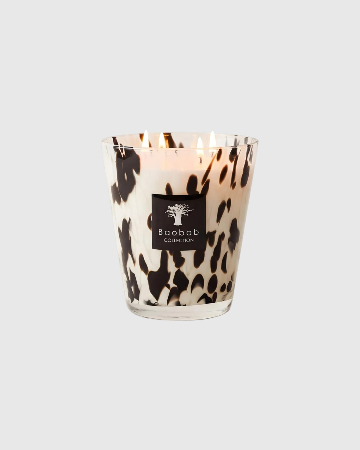 Baobab Collection Duftkerze Pearls Black in Signature Max 16 vor hellgrauem Hintergrund