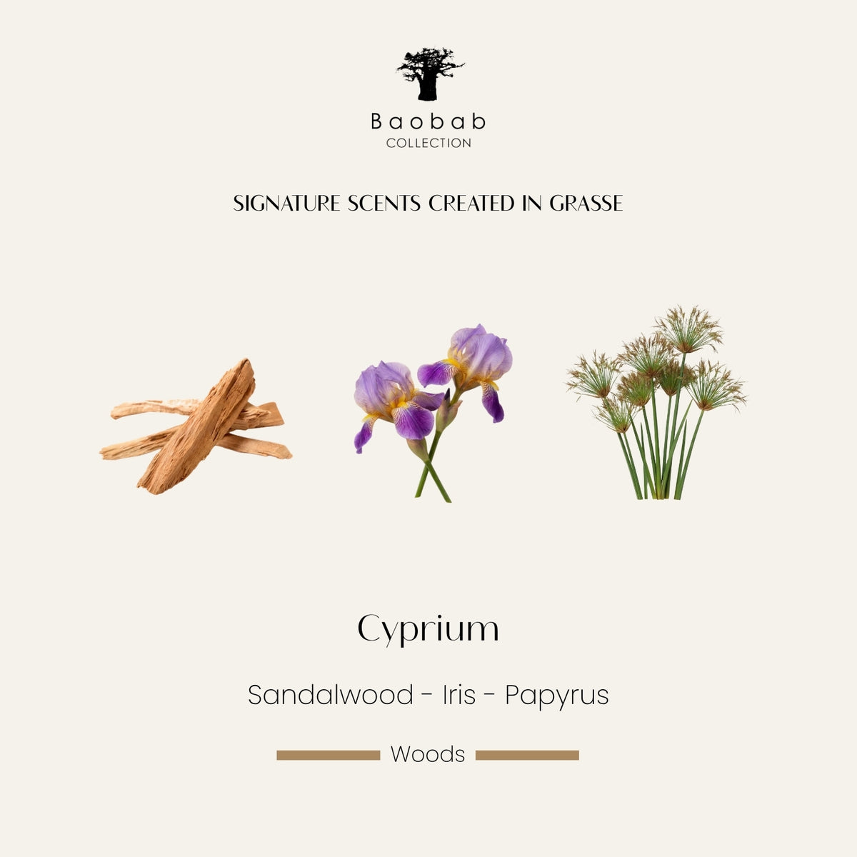 Baobab Collection Cyprium Duftkarte mit Sandelholz, Iris und Papyrus