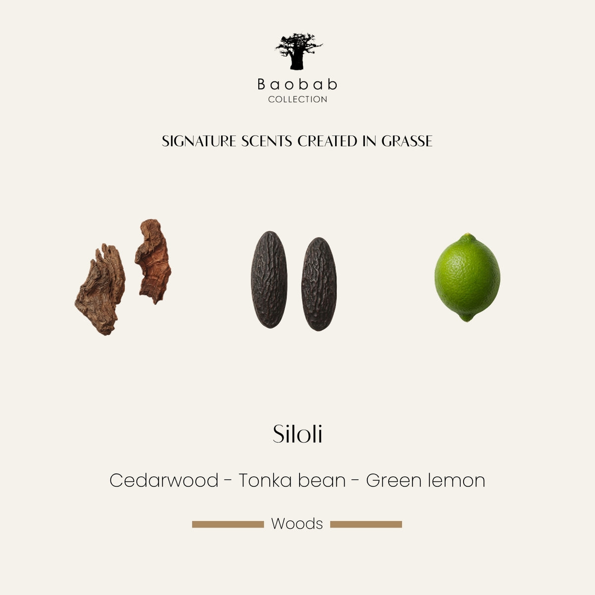 Baobab Collection Siloli Duftkarte mit Zedernholz, Tonkabohne und grüner Zitrone