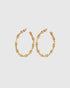 Medium gold-tone hoop earrings with sculpted bamboo-style segments, shown as a pair.